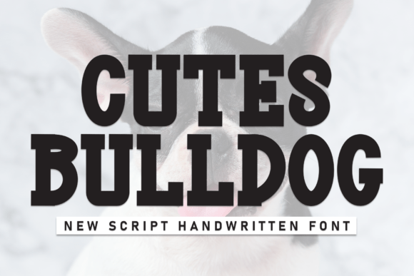 Cutes Bulldog: A Premium Display Typeface for Warm Brand Campaigns