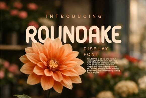 Roundake: The Friendly Display Font for Modern Web Design