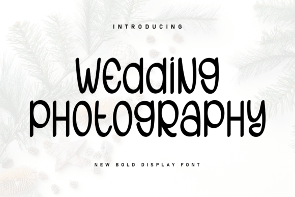 Wedding Photography: A Charming Handwritten Font for Brand Identity